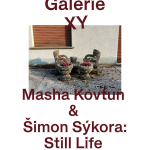 Still Life, Galerie XY