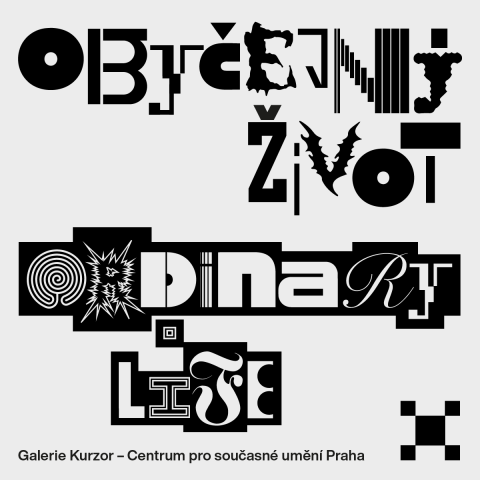 Obyčejný život ~ Daniela Baráčková, Jakub Černý, David Čumalo, Matěj Frank, Dominika Goralska, Michal Kalhous, Ivo Sumec