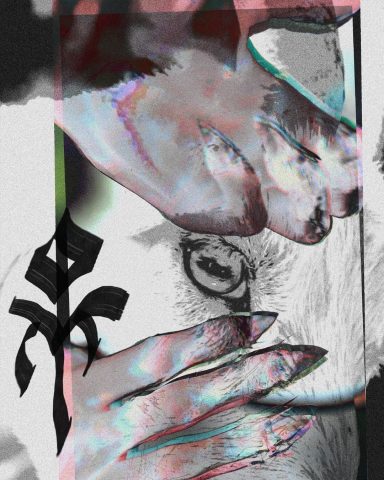 DOKUD (Z)VONÍ LOUKY ~ anto_nie & Alex Sihelsk*