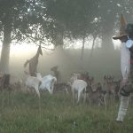 ZVEROMEDZE, Prostor Olga