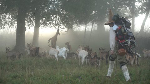 ZVEROMEDZE ~ anto_nie & Alex Sihelsk*