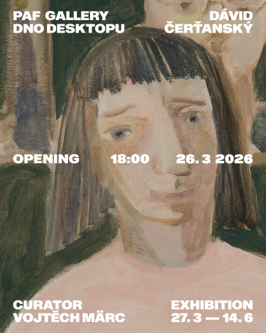 Dávid Čerťanský: Dno desktopu ~ Dávid Čerťanský, Vojtěch Marc