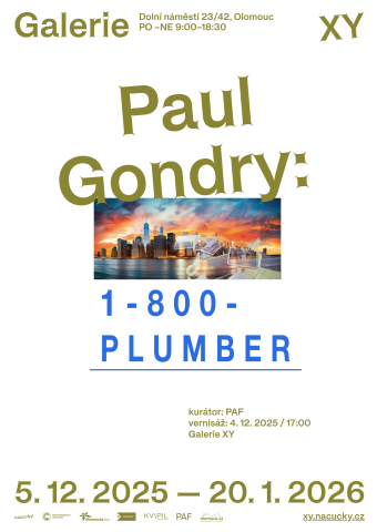 𝗣𝗮𝘂𝗹 𝗚𝗼𝗻𝗱𝗿𝘆: 𝟭-𝟴𝟬𝟬 𝗣𝗟𝗨𝗠𝗕𝗘𝗥 ~ Paul Gondry