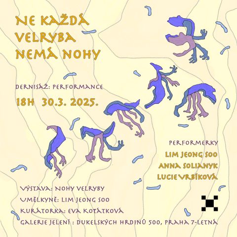 Ne každá velryba nemá nohy ~ Lim Jeong Soo, Anna Solianyk. Lucie Vrbíková