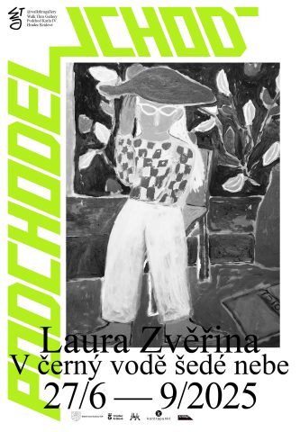 V ČERNÝ VODĚ ŠEDÉ NEBE ~ Laura Zvěřina