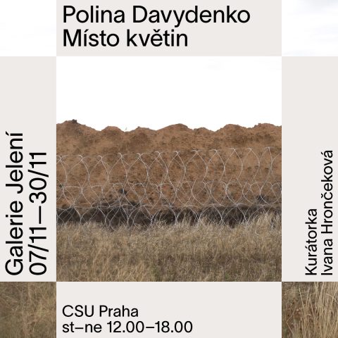 Místo květin ~ Polina Davydenko