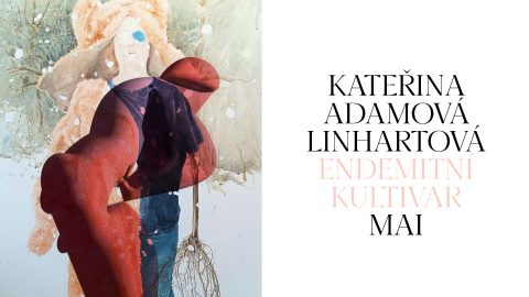 Endemitní Kultivar ~ Kateřina Adamová Linhartová, Mai