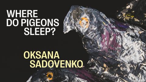 How Do Pigeons Sleep? ~ Oksana Sadovenko
