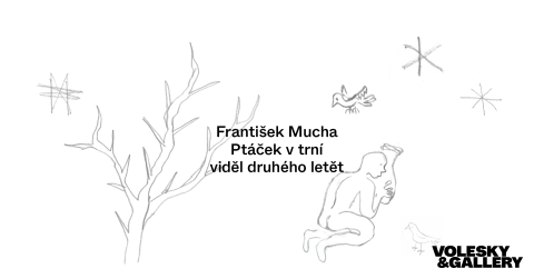 František Mucha: Ptáček v trní viděl druhého letět ~ František Mucha