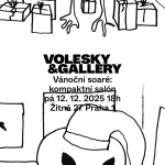 Vánoční soaré – kompaktní salón, VOLESKY&GALLERY