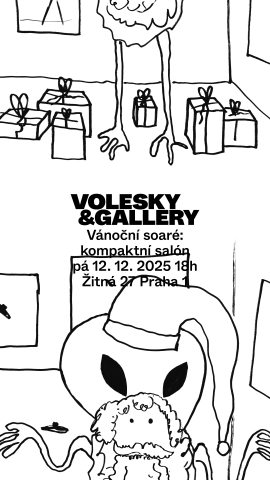 Vánoční soaré – kompaktní salón ~ Nemejovská, Zapletal, Voleský, Škuta, Mestek, Lipavský